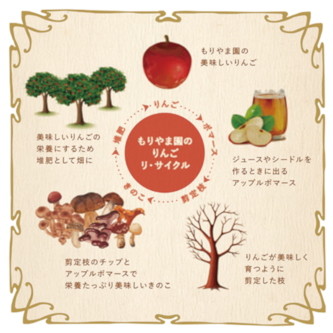 干しきのこページ編集