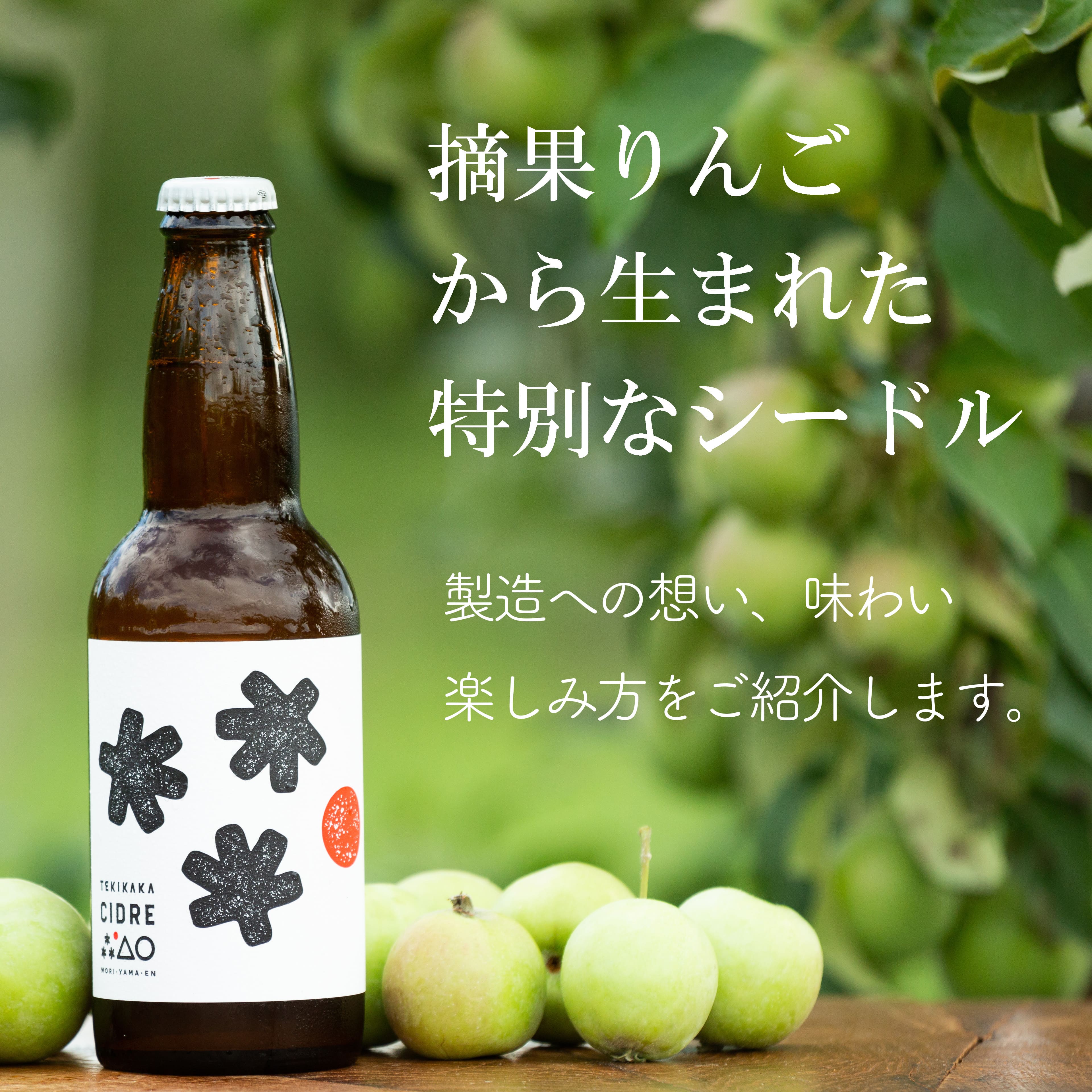 テキカカシードルとは
