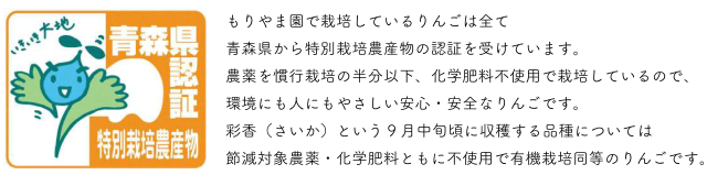 ワタシです