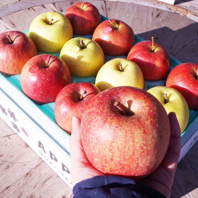 お客様の声 もりやま園 オンラインショッピング
