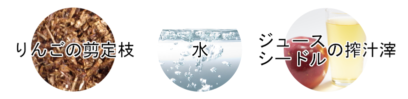 干しきのこページ編集