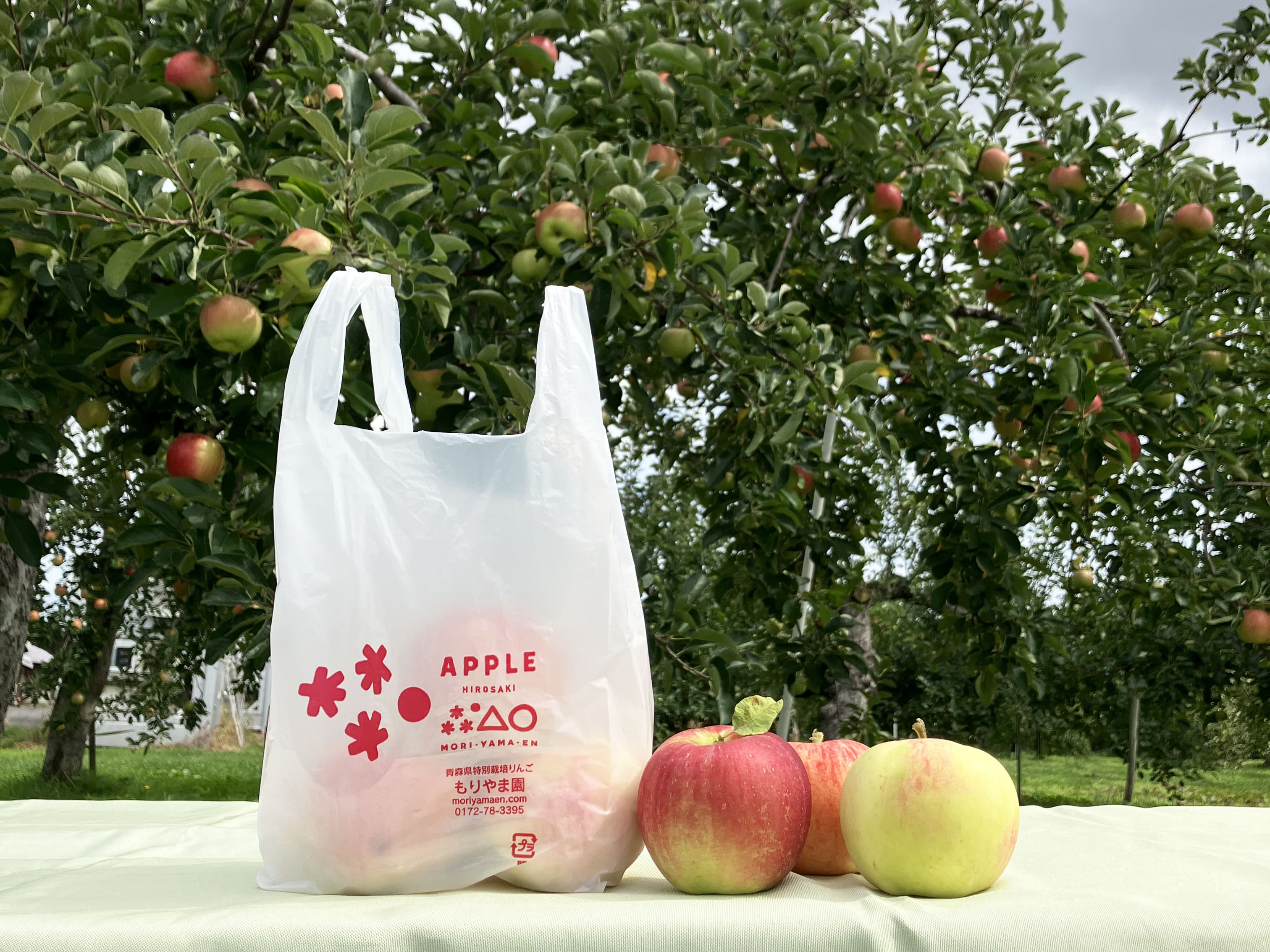 りんごのおすそ分け袋