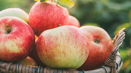 りんごの保存方法と美味しい食べ方｜届いてから役立つ情報を解説