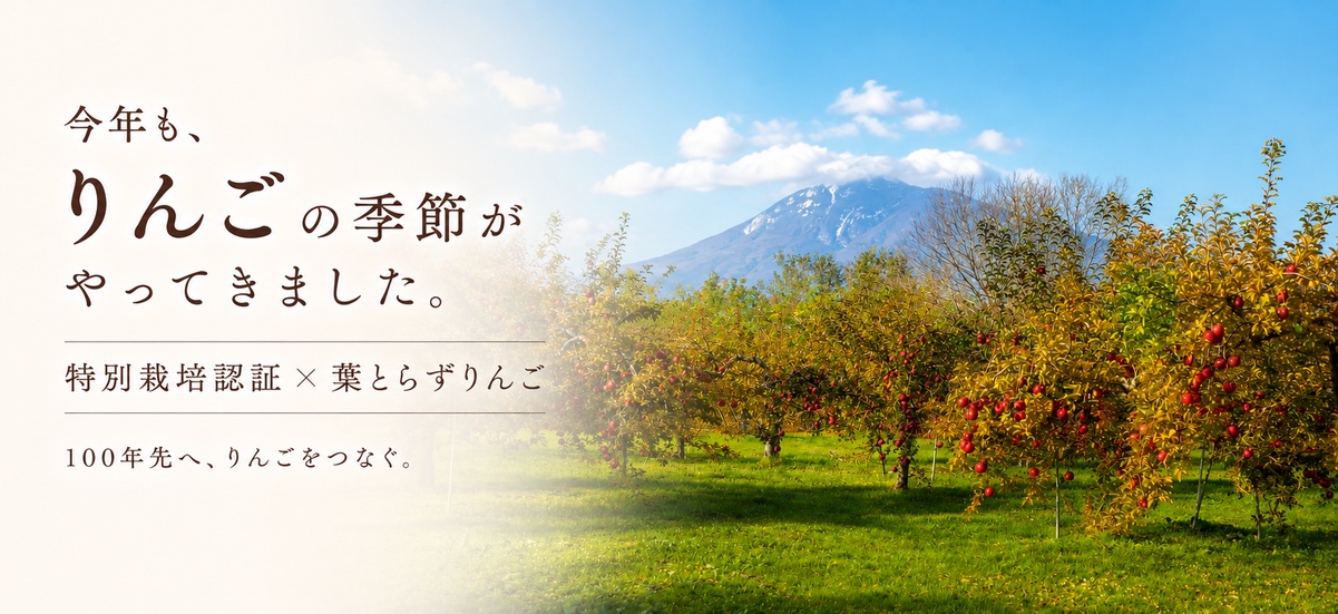 りんごスタート