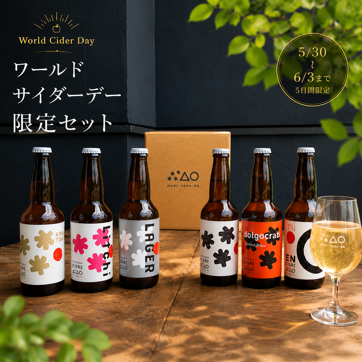 ワールドサイダーデー記念限定セットバナー