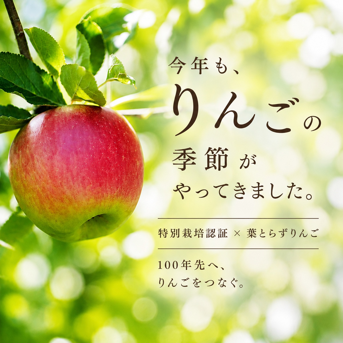 りんごスタート