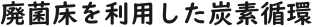 干しきのこページ編集